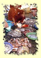 Duong Dong market